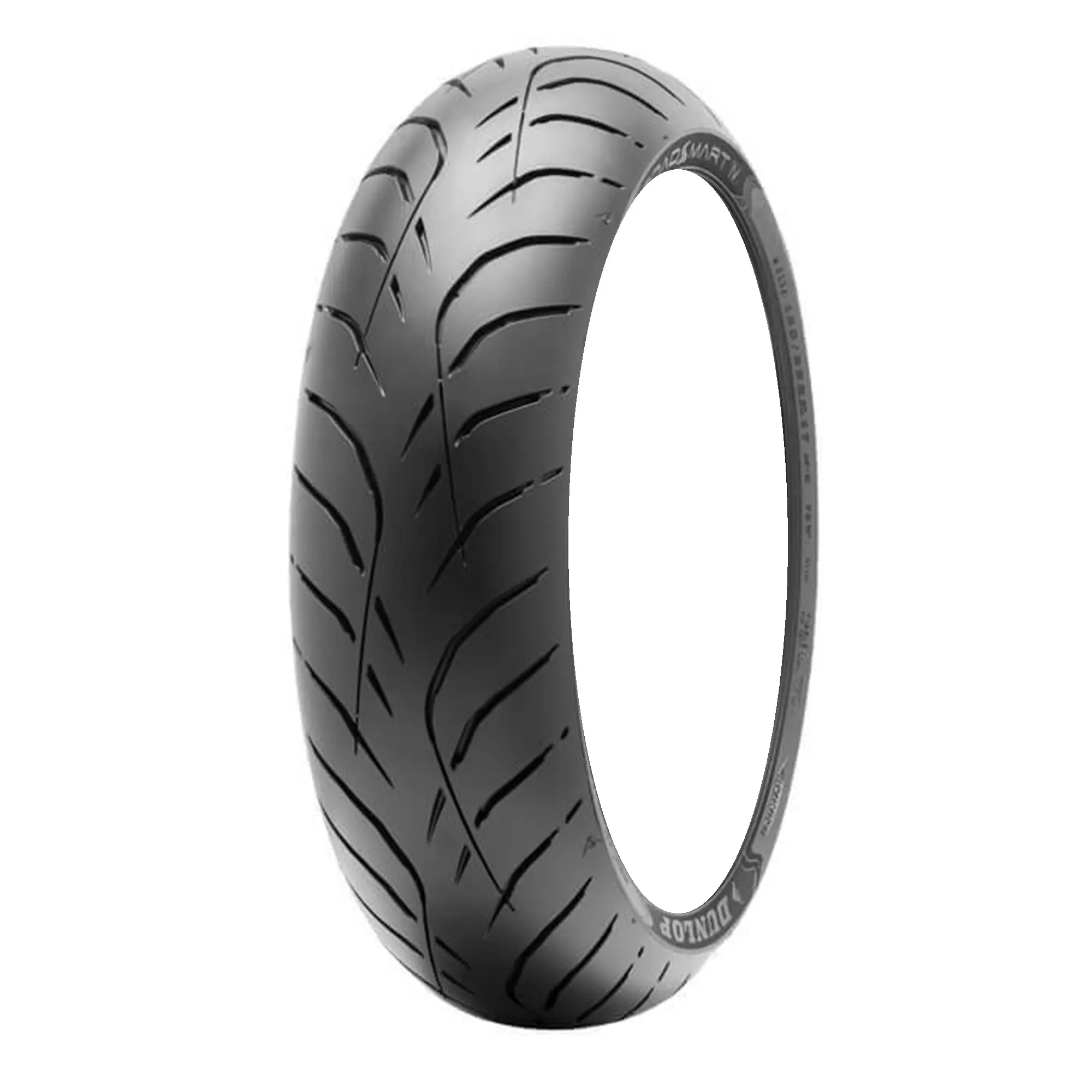 Dunlop Roadsmart IV Motorcycle Tires | Free US Shipping